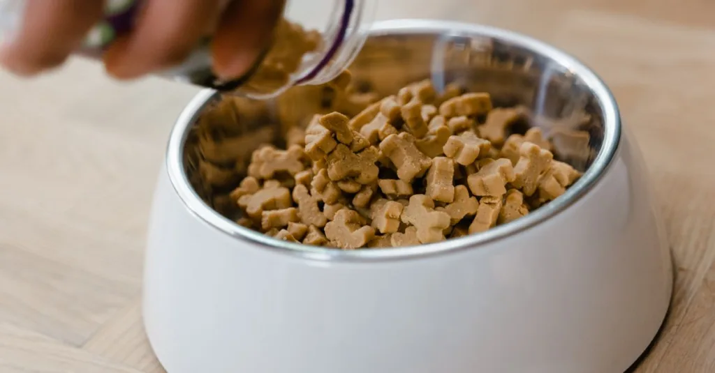découvrez comment déterminer la portion idéale de nourriture pour votre chat afin de garantir une alimentation équilibrée et adaptée à ses besoins.