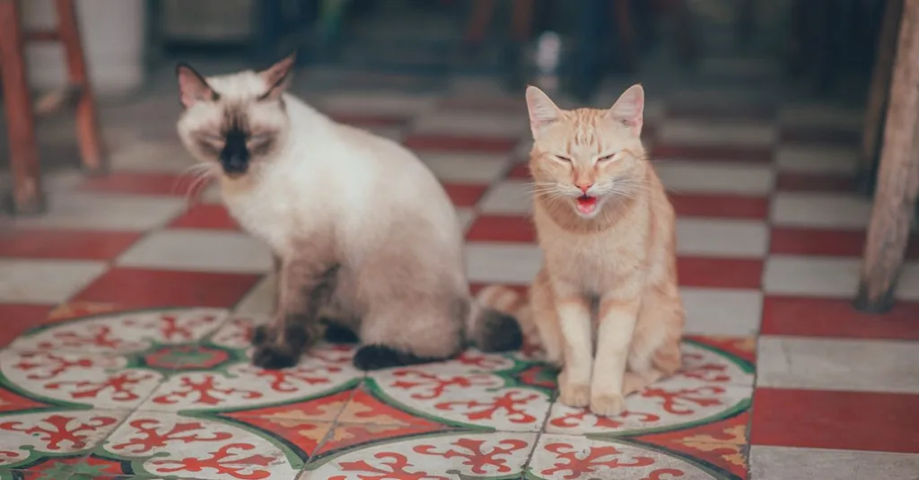 découvrez pourquoi votre chat éternue, les causes courantes et comment soulager ses symptômes pour assurer son bien-être.