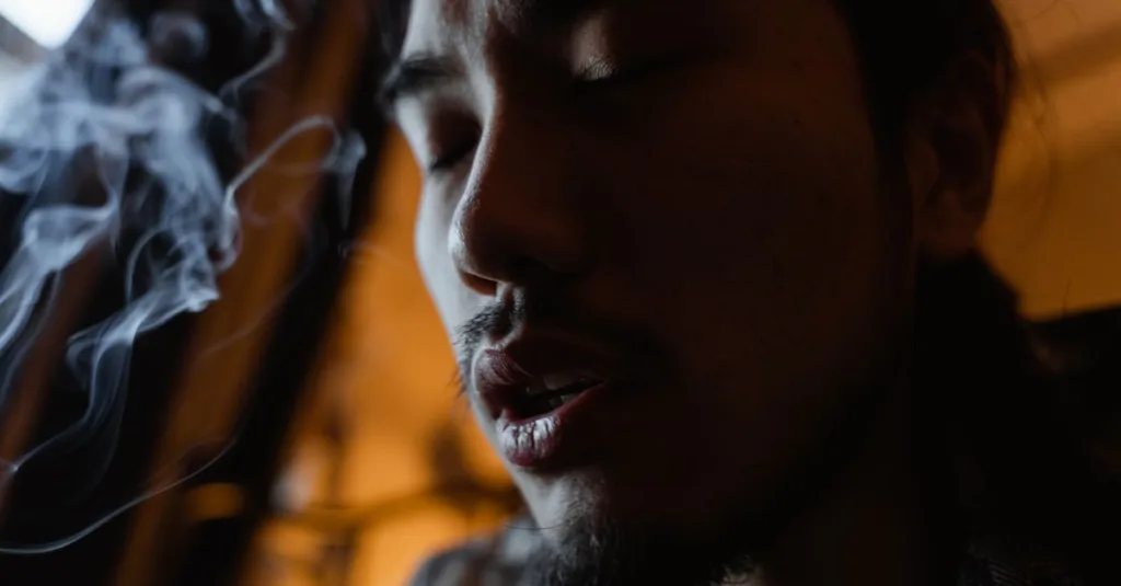 découvrez asian smoke, une expérience unique mêlant saveurs asiatiques authentiques à une ambiance chaleureuse et conviviale.