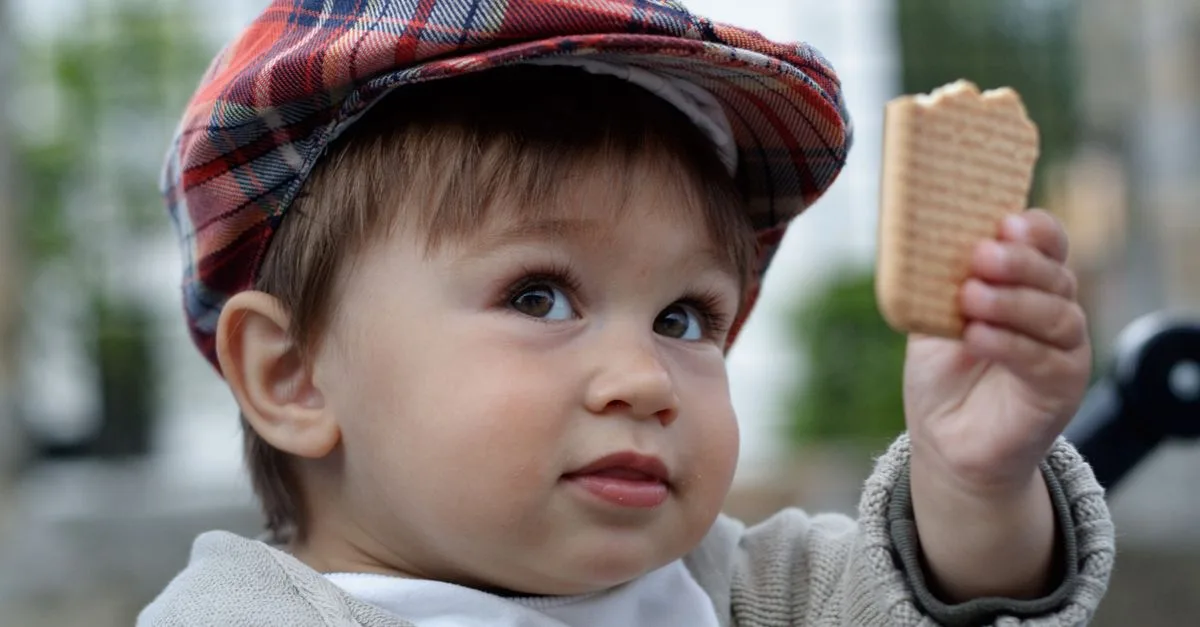 découvrez bambino, une marque dédiée à l'univers des tout-petits avec des produits de qualité alliant douceur et sécurité pour le confort de votre bébé.