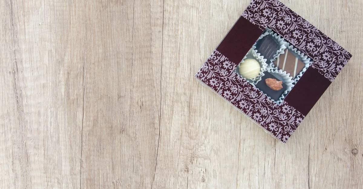 découvrez le york chocolate, une race de chat unique et élégante, reconnue pour son pelage châtain et son caractère doux et affectueux.