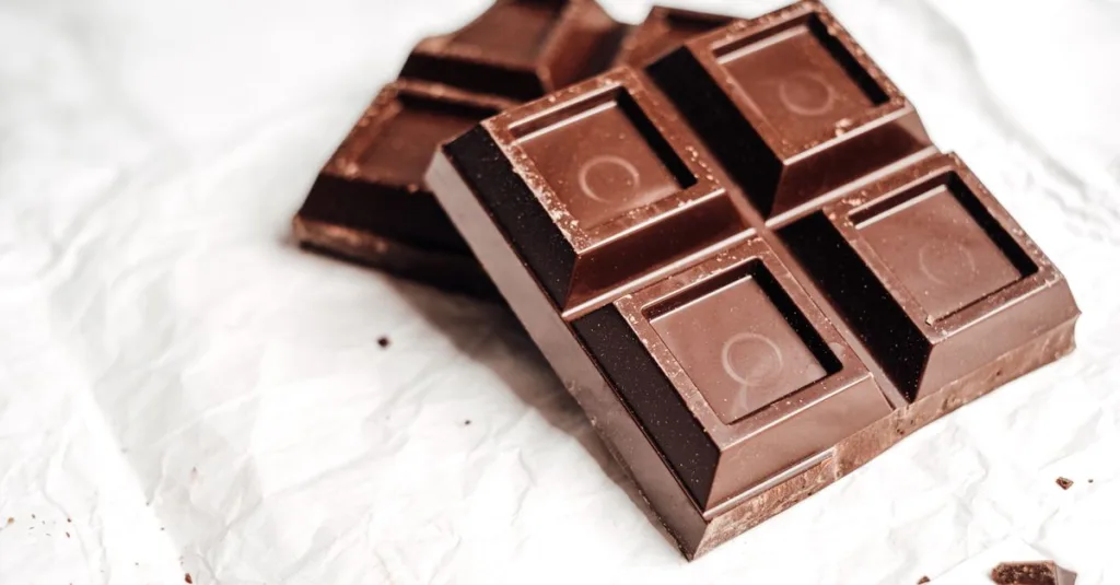découvrez york chocolate, une race de chat élégante au pelage chocolat unique, reconnue pour son tempérament doux et affectueux.